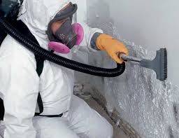 Best Forensic Mold Investigation  in Elroy, NC